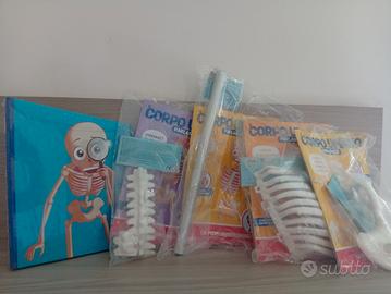 Skelly il Corpo Umano Parlante DeAgostini