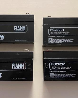 FIAMM batterie 12V
