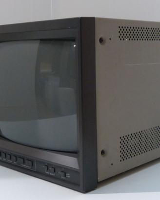 Monitor CRT JVC TM-A140PN