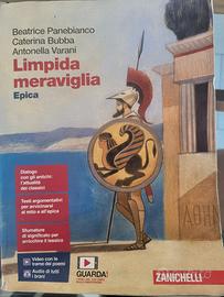 Libro Limpida meraviglia Epica