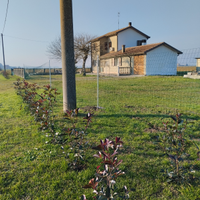 Casa in campagna vicino al mare
