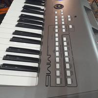 Yamaha MM6