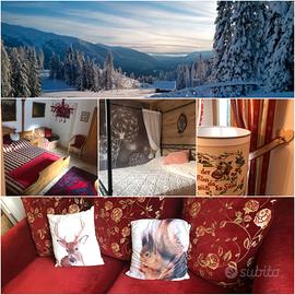 La Casina di Butzi, casa alpina pet friendly