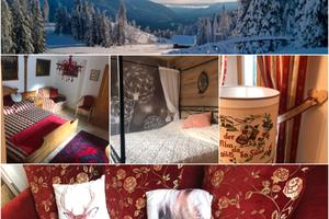 La Casina di Butzi, casa alpina pet friendly