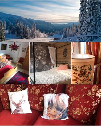 La Casina di Butzi, casa alpina pet friendly