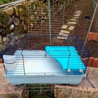 gabbietta per coniglio nano