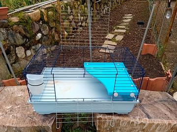 gabbietta per coniglio nano