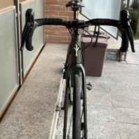 Bicicletta grave assistita