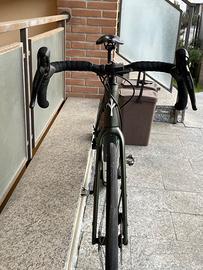 Bicicletta grave assistita