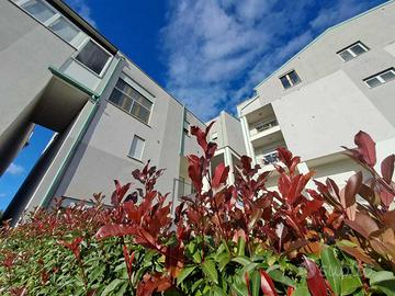 Appartamento a Amelia