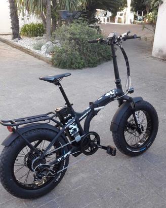 Fat Bike Asso Armony 250W