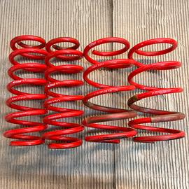 Molle Eibach Sportline vw audi seat skoda