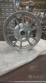 CERCHIO POST. NUOVO VESAPA  PRIMAVERA