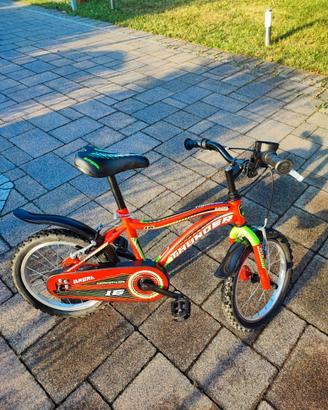 bicicletta bambino