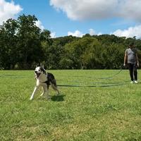 Lunghina per Addestramento Cani 9m Alta Resistenza