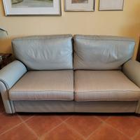 Divani in pelle