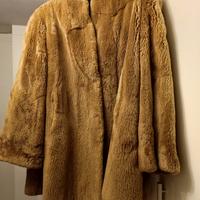 Pelliccia di castorino