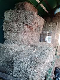 Ballette di fieno per pacciamatura
