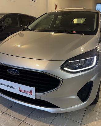 Ford Fiesta 1.0 Ecoboost 100 CV 5 porte Business