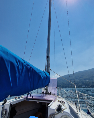 Barca vela cadei illimit 6mt motore SUZUki NUOVO