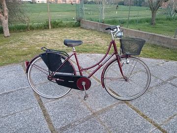 bicicletta donna con cestino pronta all'uso 