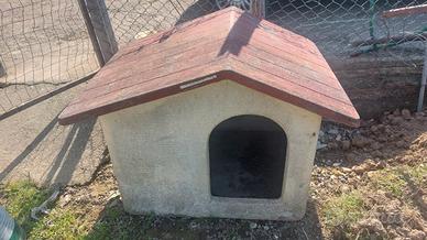 cuccia per cani