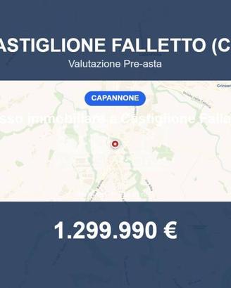 Immobile in asta di 4514 m² a Castiglione Falletto