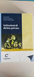 Istituzioni di diritto privato Nivarra Ricciuto Sc