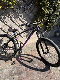 c100 purple