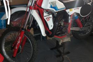 motocross tgm mx 