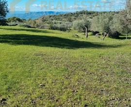 Terreno Agricolo Ragalna Bassa