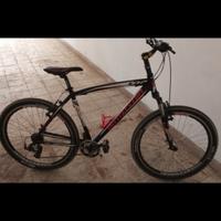  BOTTECCHIA 105 TX55 V-BRA