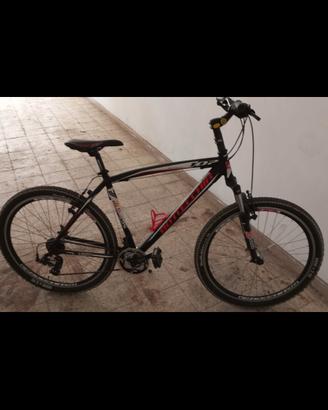  BOTTECCHIA 105 TX55 V-BRA