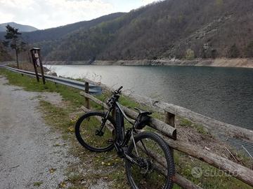 bicicletta Mountain bike. pedalata assistita Giant