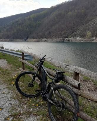 bicicletta Mountain bike. pedalata assistita Giant