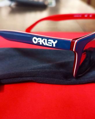 Occhiali da sole Oakley Frogskins LX 2043-05 Polar