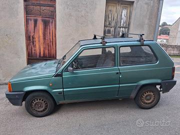 Fiat panda young