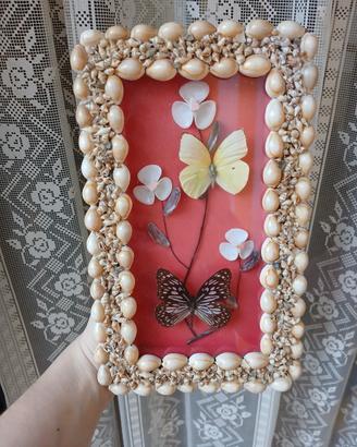 Quadro vintage farfalle e conchiglie 25x15