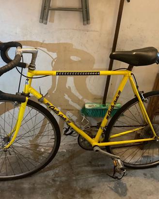 Bicicletta Carlo Carlà