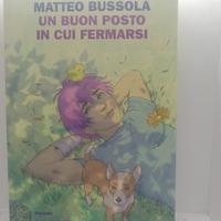 "Un buon posto in cui fermarsi" di Matteo Bussola 