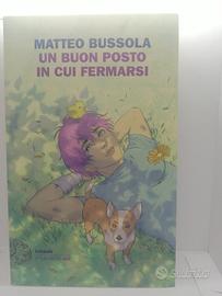 "Un buon posto in cui fermarsi" di Matteo Bussola 