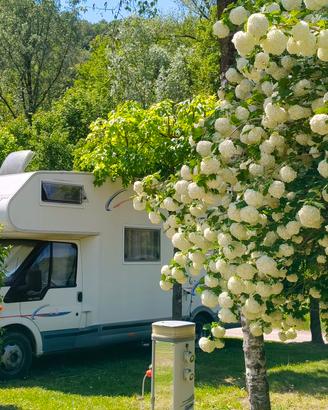 Ford transit mansardato 