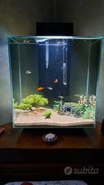 Acquario 50 litri 
