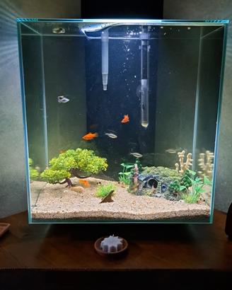 Acquario 50 litri 