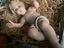 Immagine 4