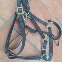 Testalino Briglia per cavalli in Biotene Western