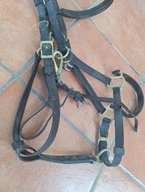 Testalino Briglia per cavalli in Biotene Western