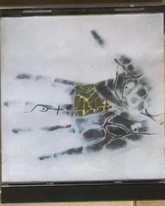 3 festivalbar 2005 Borotalco almamegretta