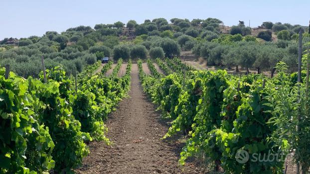 Terreno a Noto (SR)