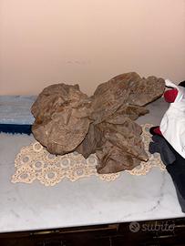 Rosa del Deserto in Selenite (Gesso) – Algeria